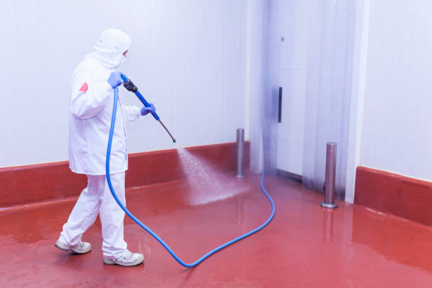 Best Warehouse Cleaning  in Sparta, MI