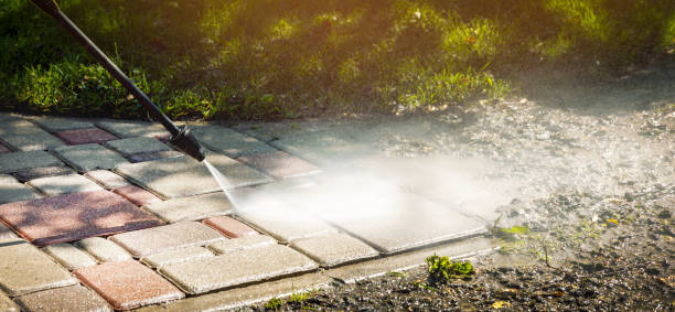 Best Animal Enclosure Cleaning  in Sparta, MI